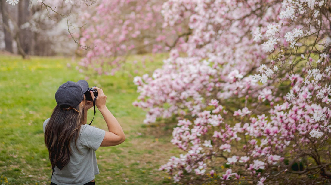 Things to do at the botanical gardens